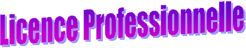 Licence Professionnelle
